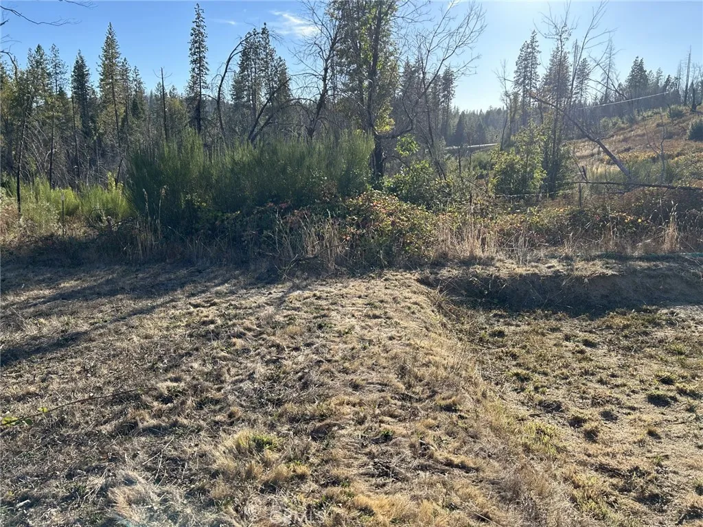 80 Meadow, Berry Creek, Ca 95916 - Photo 3 of 9, Berry Creek, CA