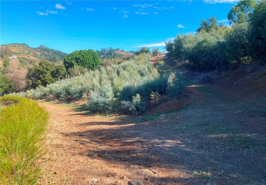 Houses For Rent La Quinta