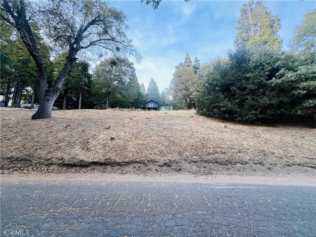 Cedarpines Park, CA 92322
