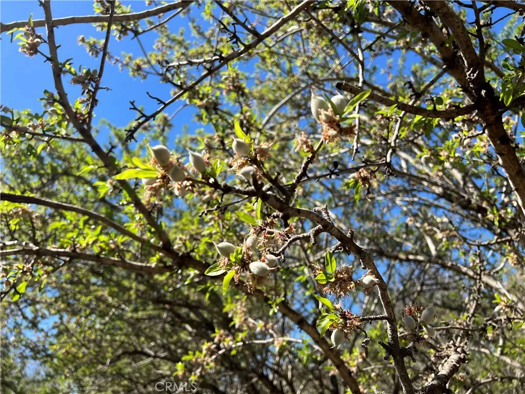 0 Cana, Chico, Ca 95973 - Photo 4 of 11, Chico, CA