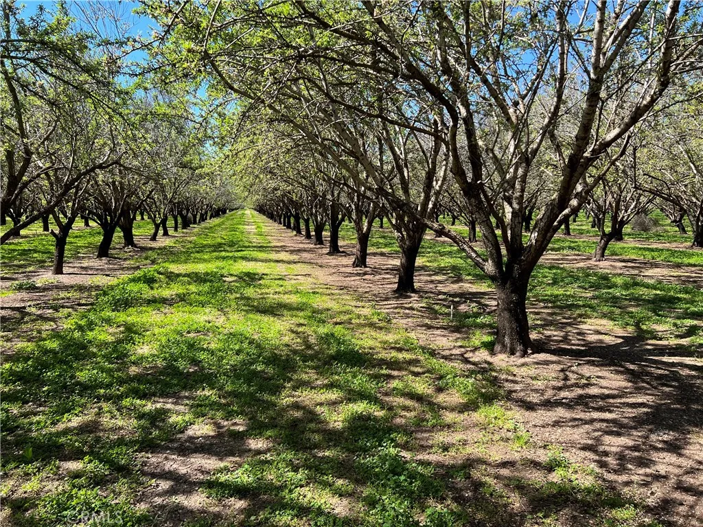 0 Cana, Chico, Ca 95973 - Photo 5 of 11, Chico, CA