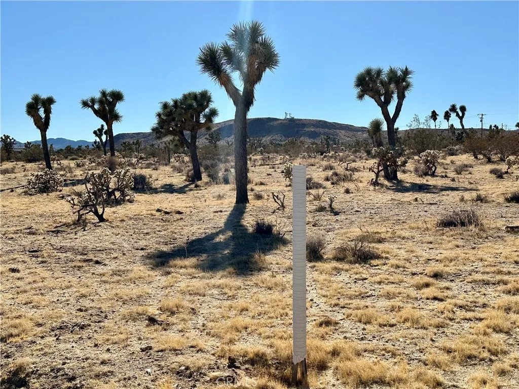 Yucca Valley, CA 92284