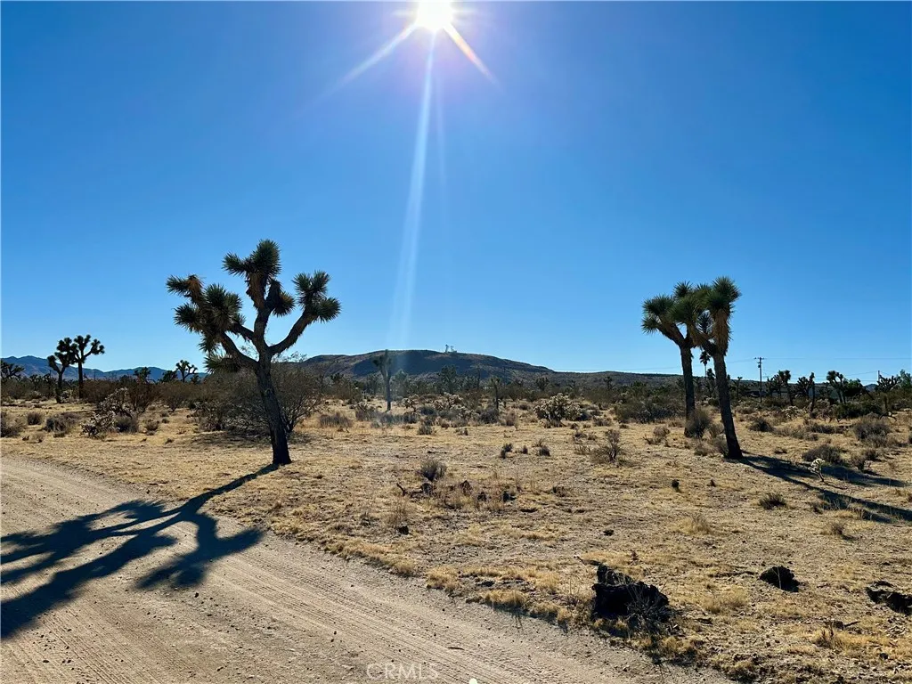 4726 Paradise View, Yucca Valley, Ca 92284 - Photo 2 of 30, Yucca Valley, CA