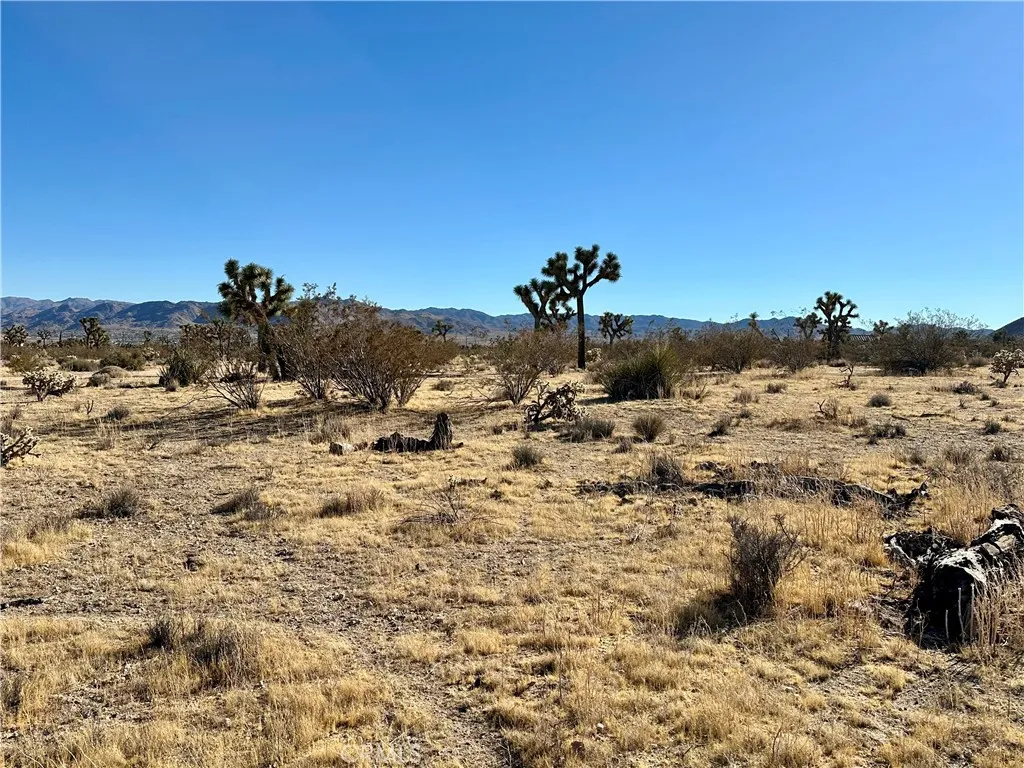 4726 Paradise View, Yucca Valley, Ca 92284 - Photo 3 of 30, Yucca Valley, CA
