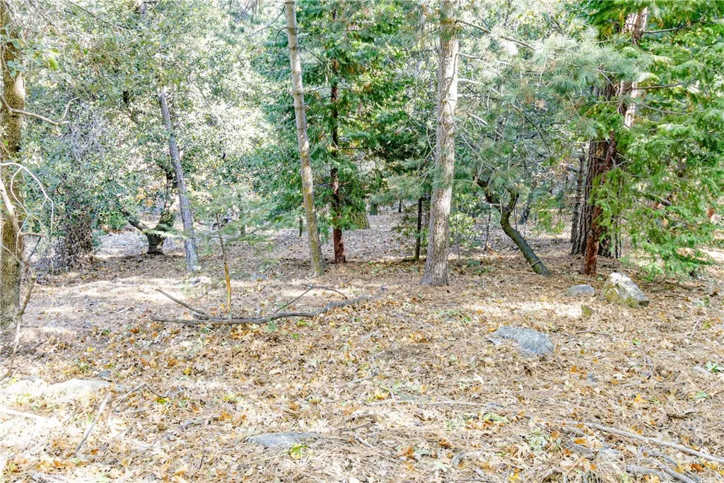 0 Alder Creek Road, Cedarpines Park, Ca 92322 - Photo 5 of 10, Cedarpines Park, CA