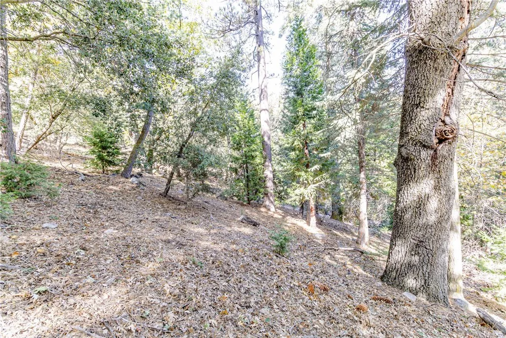 0 Alder Creek Road, Cedarpines Park, Ca 92322 - Photo 2 of 10, Cedarpines Park, CA