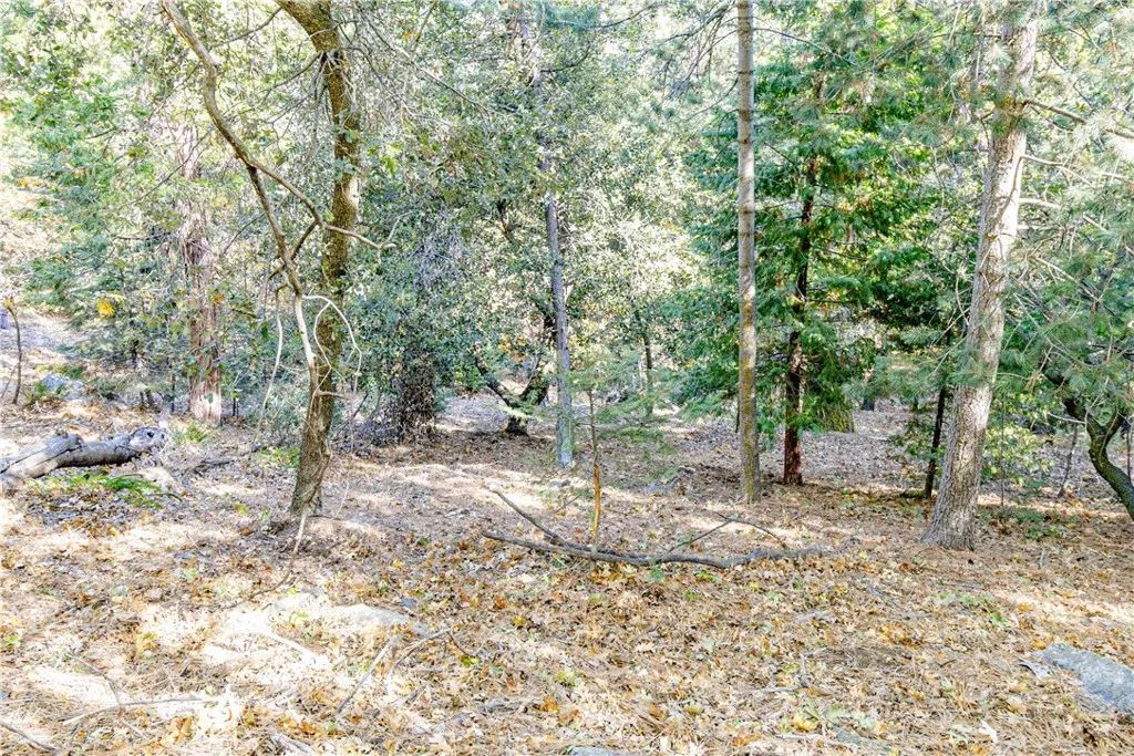 0 Alder Creek Road, Cedarpines Park, Ca 92322 - Photo 3 of 10, Cedarpines Park, CA