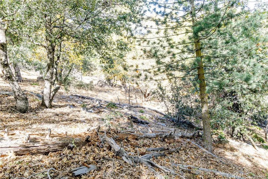 0 Alder Creek Road, Cedarpines Park, Ca 92322 - Photo 4 of 10, Cedarpines Park, CA