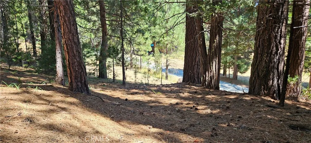 108 Forest, North Fork, Ca 93643