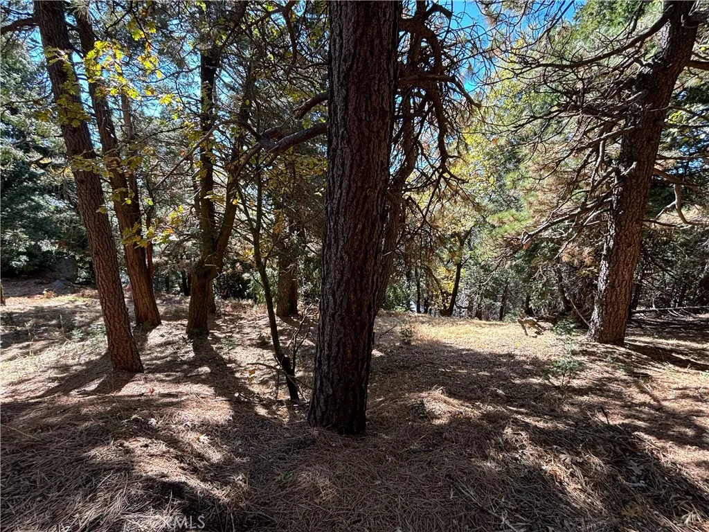 0 Peak Circle, Cedarpines Park, Ca 92322 - Photo 2 of 2, Cedarpines Park, CA
