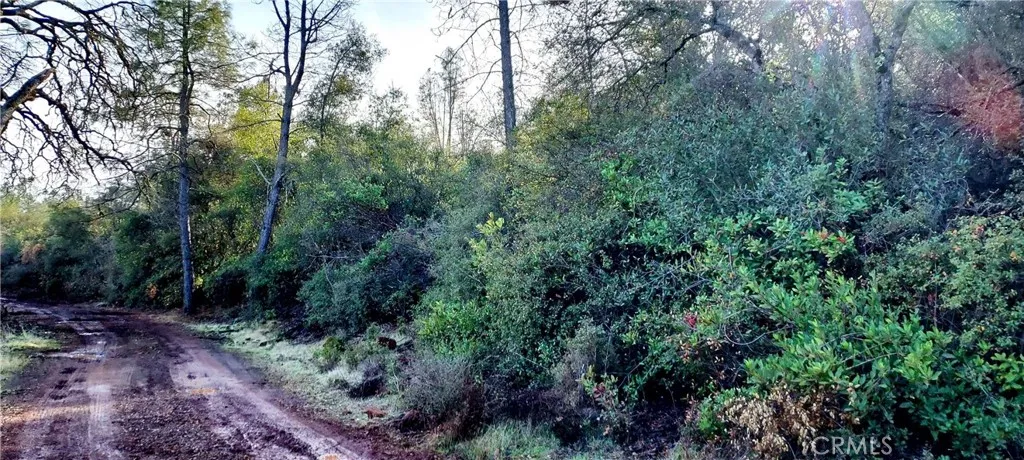 15151 Gray Pine, Lower Lake, Ca 95457 - Photo 3 of 6, Lower Lake, CA