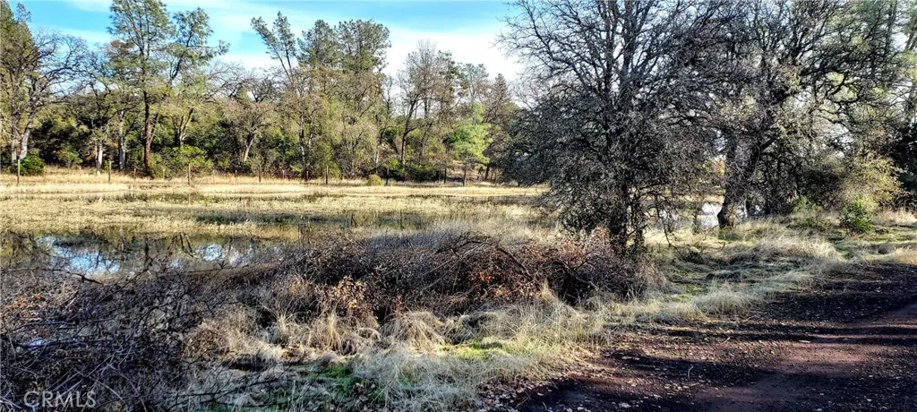 15151 Gray Pine, Lower Lake, Ca 95457 - Photo 2 of 6, Lower Lake, CA