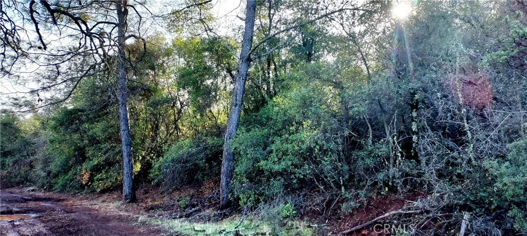 15151 Gray Pine, Lower Lake, Ca 95457 - Photo 4 of 6, Lower Lake, CA