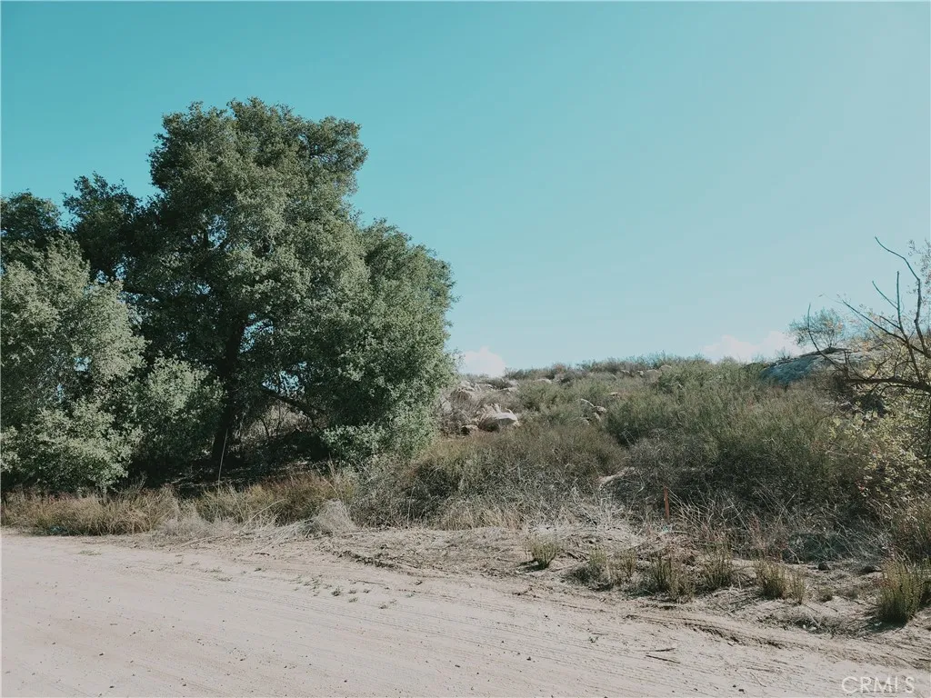 Murrieta