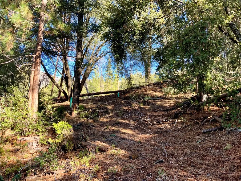 50963 Chu Ranch, Oakhurst, Ca 93644 - Photo 2 of 26, Oakhurst, CA