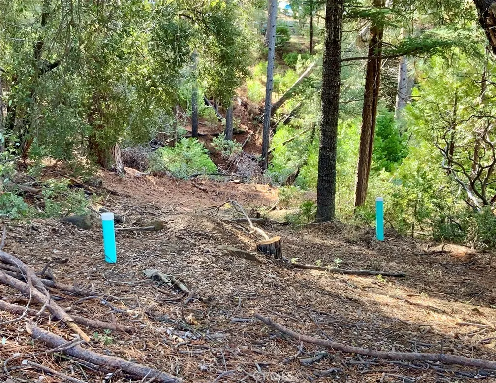 50963 Chu Ranch, Oakhurst, Ca 93644 - Photo 4 of 26, Oakhurst, CA