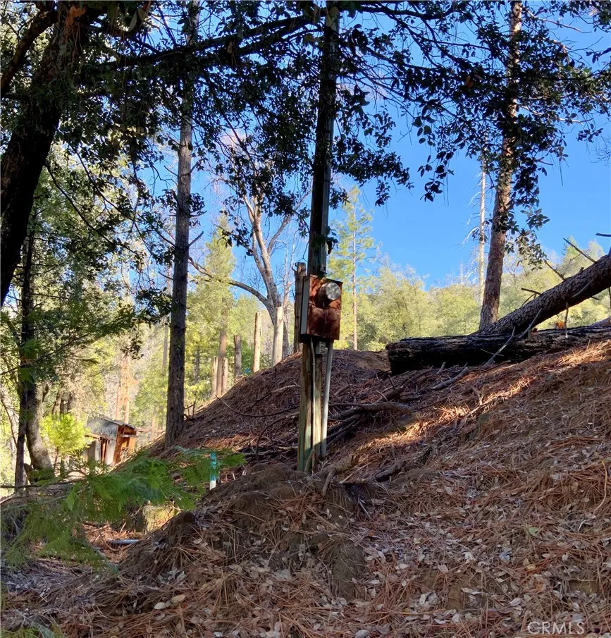 50963 Chu Ranch, Oakhurst, Ca 93644 - Photo 5 of 26, Oakhurst, CA