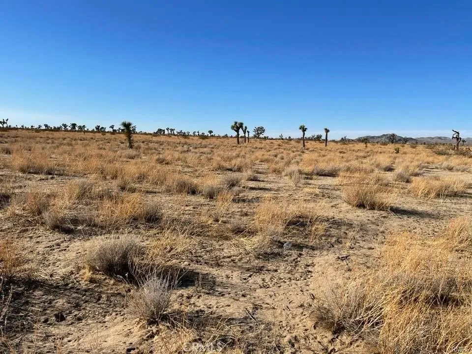 0 - Vinton, Adelanto, Ca 92301 - Main photo, Adelanto, CA