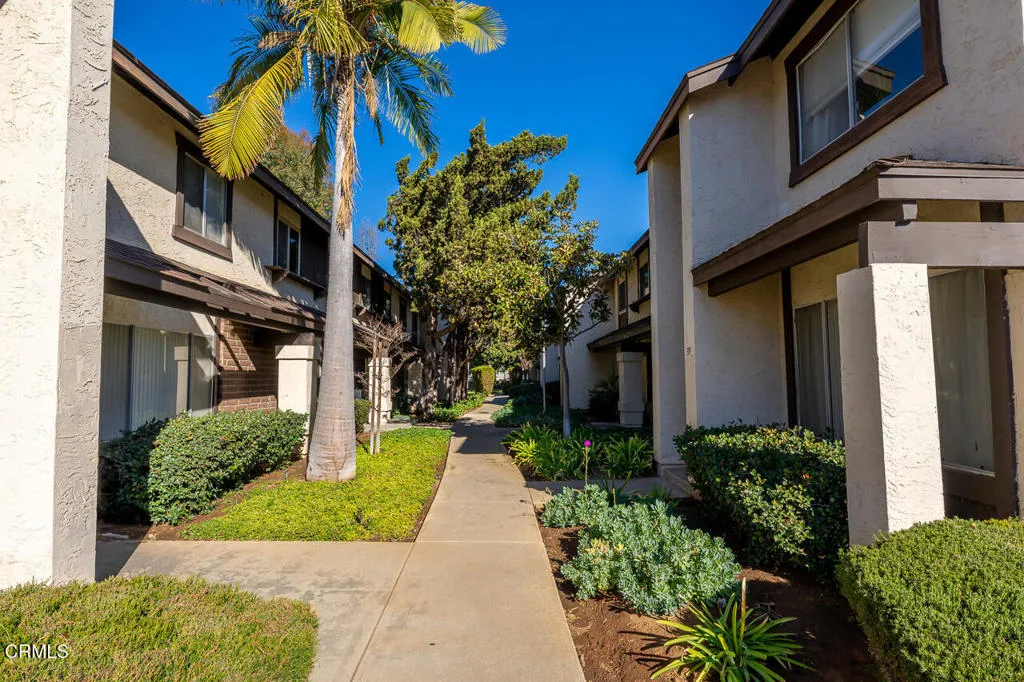 Photo #3: P1-20441 Listing 