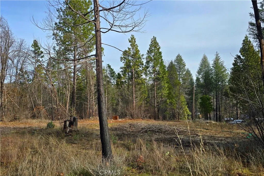 35 Sugar Pine, Berry Creek, Ca 95916 - Photo 3 of 8, Berry Creek, CA