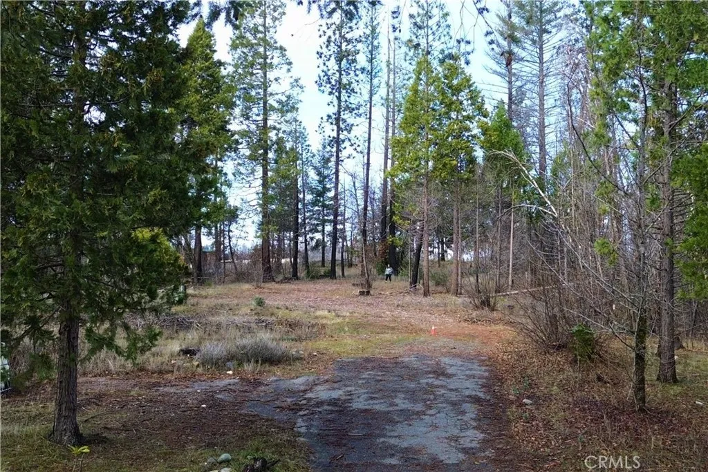 35 Sugar Pine, Berry Creek, Ca 95916 - Photo 2 of 8, Berry Creek, CA