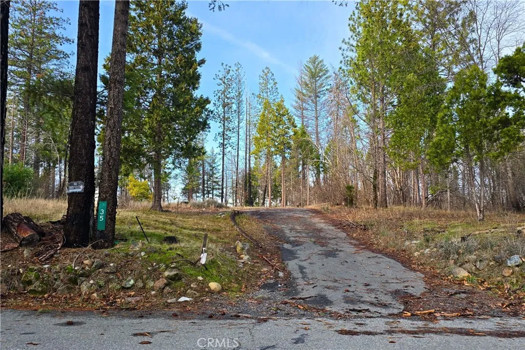 35 Sugar Pine, Berry Creek, Ca 95916