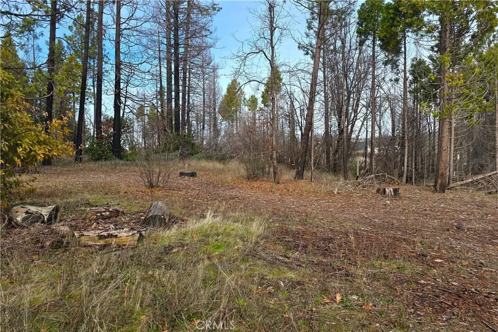 35 Sugar Pine, Berry Creek, Ca 95916 - Photo 4 of 8, Berry Creek, CA