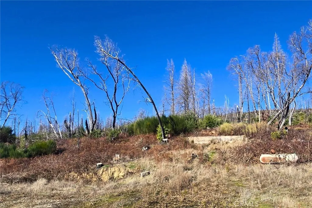 Berry Creek, CA 95916