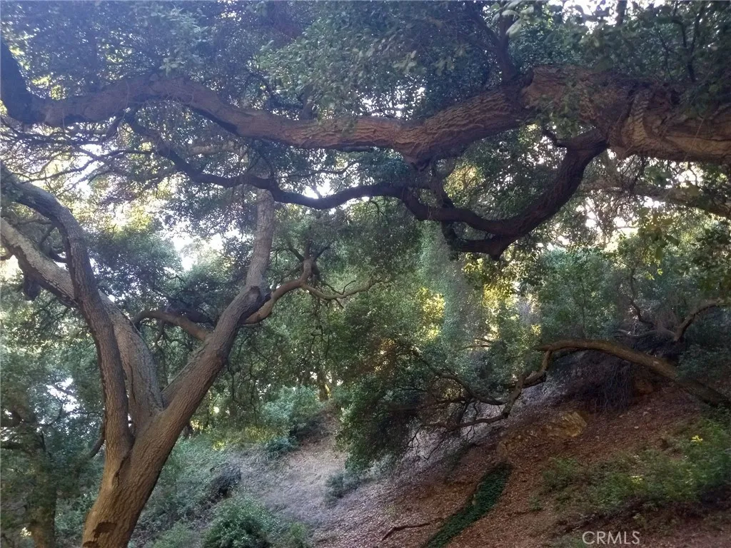 0 0, Claremont, Ca 91711 - Photo 4 of 4, Claremont, CA