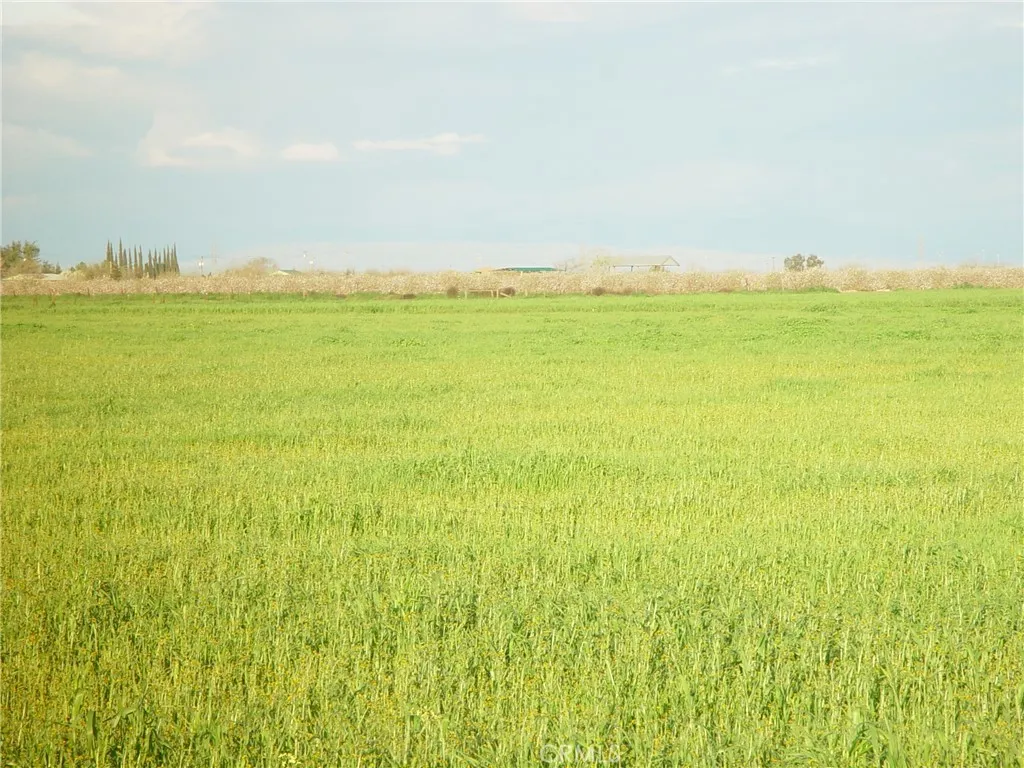 1 Road 18 3/4, Chowchilla, Ca 93610 - Photo 4 of 4, Chowchilla, CA