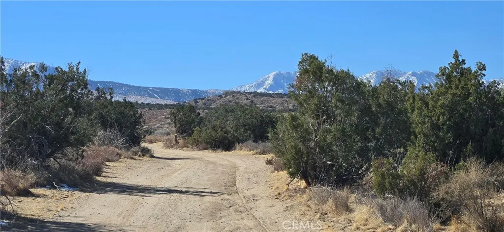 5 Avenue Y6, Llano, Ca 93544 - Photo 4 of 19, Llano, CA