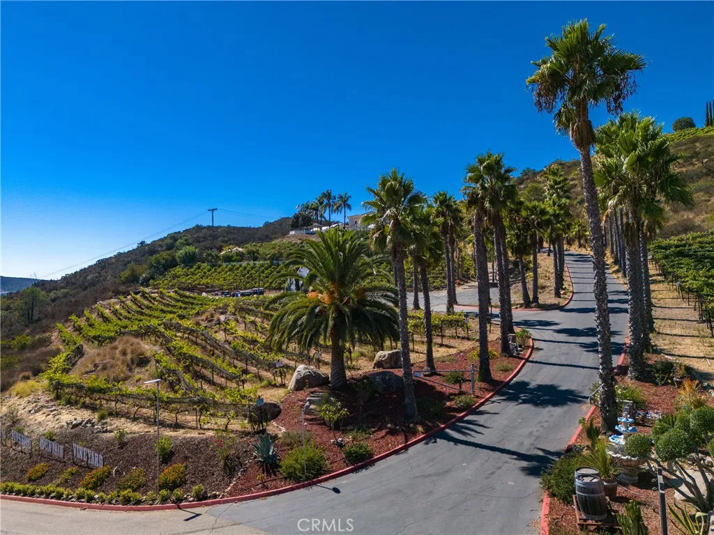 2284 Sunshine Mountain Road, San Marcos, CA, 92069