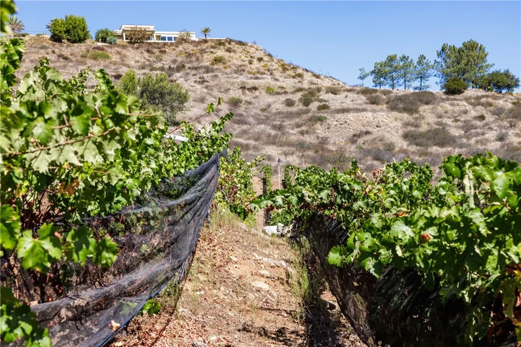 2284 Sunshine Mountain Road, San Marcos, CA, 92069