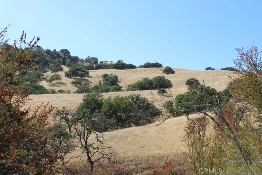 71902 Vineyard Canyon, San Miguel, Ca 93451 - Photo 4 of 6, San Miguel, CA