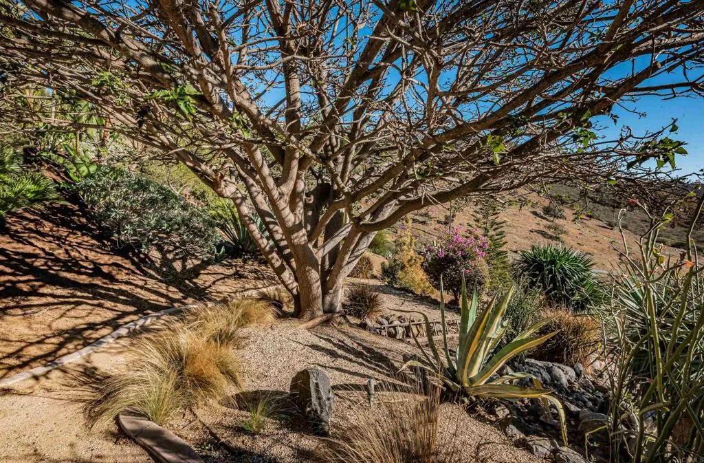 2362 Edgehill Road, Vista, CA, 92084
