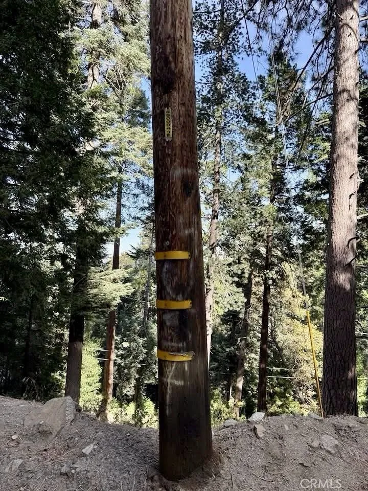 Cedarpines Park, CA 92322