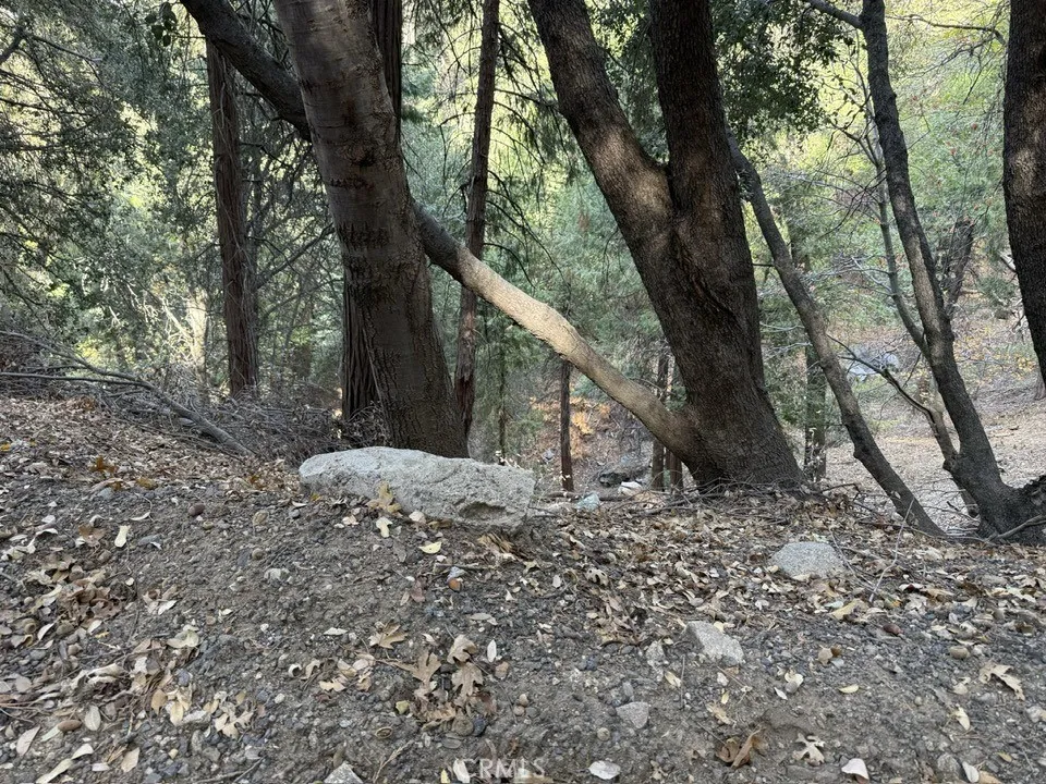 0 Mojave River, Cedarpines Park, Ca 92322 - Main photo, Cedarpines Park, CA