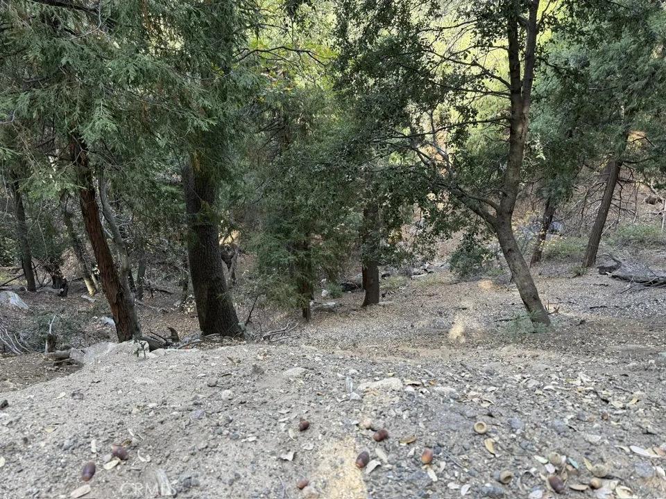 0 Mojave River, Cedarpines Park, Ca 92322 - Photo 3 of 16, Cedarpines Park, CA