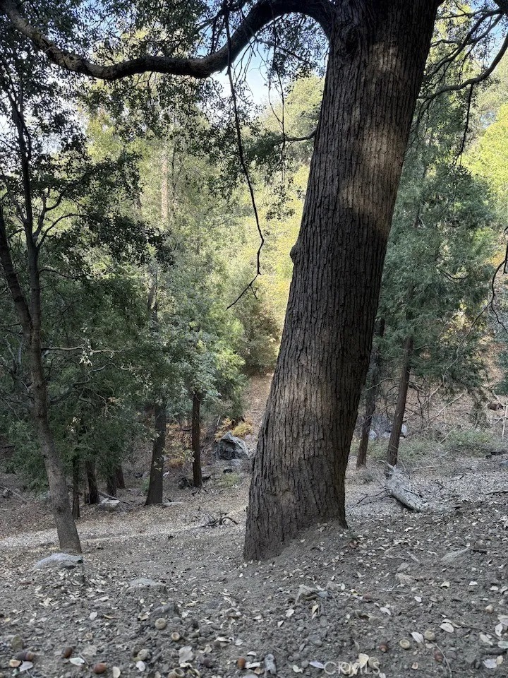0 Mojave River, Cedarpines Park, Ca 92322 - Photo 4 of 16, Cedarpines Park, CA