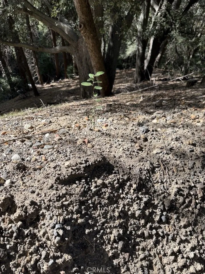 0 Mojave River, Cedarpines Park, Ca 92322 - Photo 5 of 16, Cedarpines Park, CA