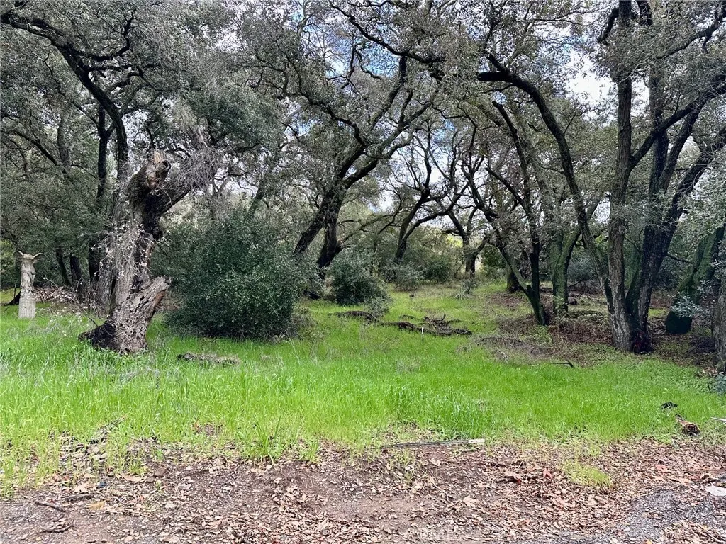 19334 Live Oak Canyon, Trabuco Canyon, Ca 92679 - Photo 4 of 6, Trabuco Canyon, CA