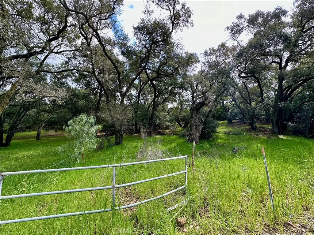 19334 Live Oak Canyon, Trabuco Canyon, Ca 92679 - Photo 3 of 6, Trabuco Canyon, CA