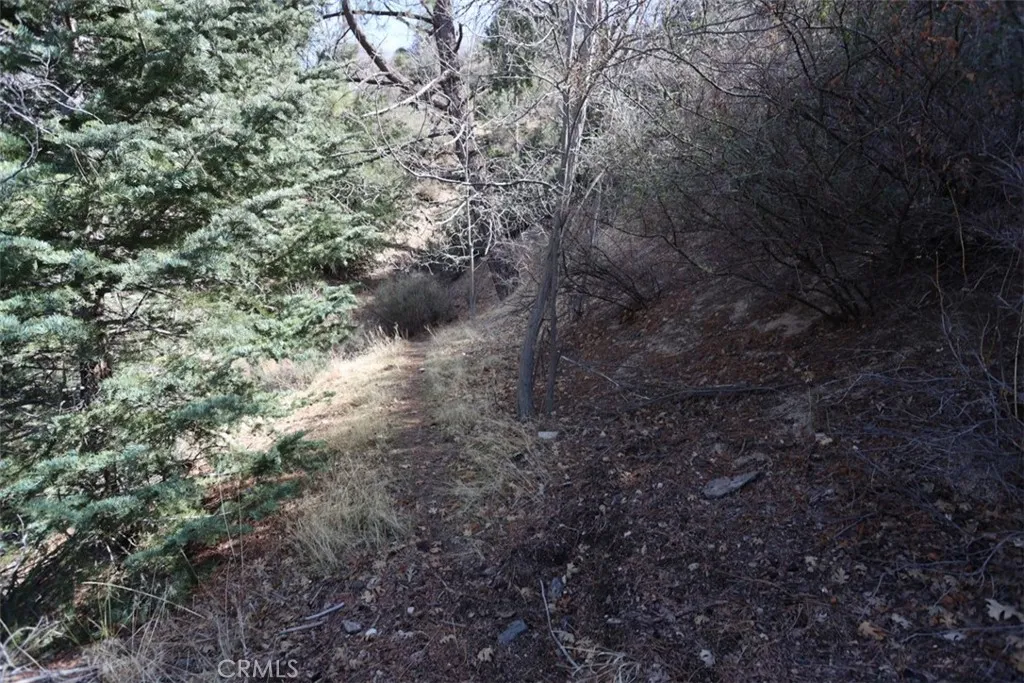 721 Acacia, Cedar Glen, Ca 92321 - Photo 3 of 5, Cedar Glen, CA