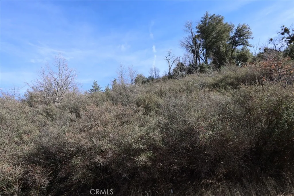 721 Acacia, Cedar Glen, Ca 92321