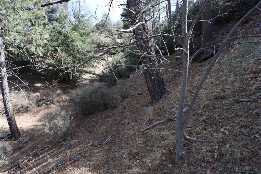 721 Acacia, Cedar Glen, Ca 92321 - Photo 4 of 5, Cedar Glen, CA