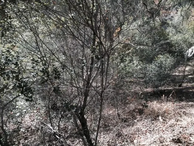 0 Silverado Canyon, Silverado Canyon, Ca 92676 - Photo 3 of 16, Silverado Canyon, CA