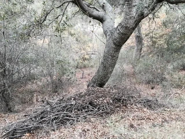 0 Silverado Canyon, Silverado Canyon, Ca 92676 - Photo 5 of 16, Silverado Canyon, CA
