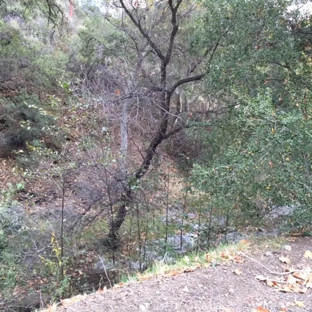 0 Silverado Canyon, Silverado Canyon, Ca 92676 - Photo 2 of 16, Silverado Canyon, CA