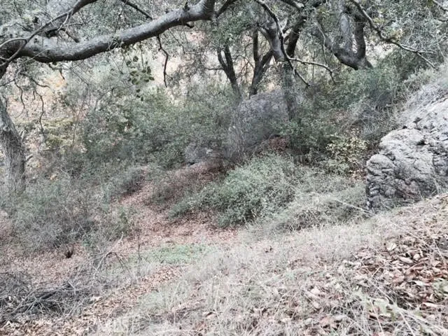 0 Silverado Canyon, Silverado Canyon, Ca 92676 - Photo 4 of 16, Silverado Canyon, CA