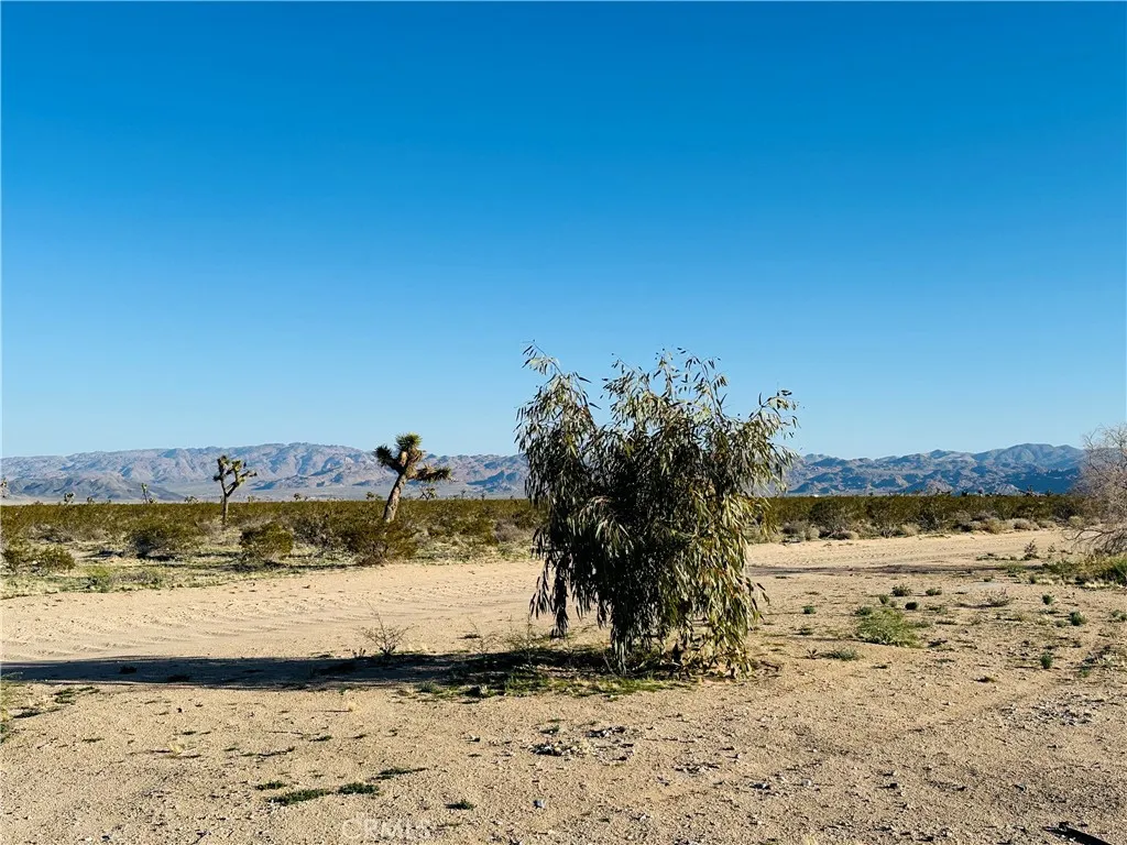1974 Sunset, Joshua Tree, Ca 92252 - Photo 2 of 11, Joshua Tree, CA